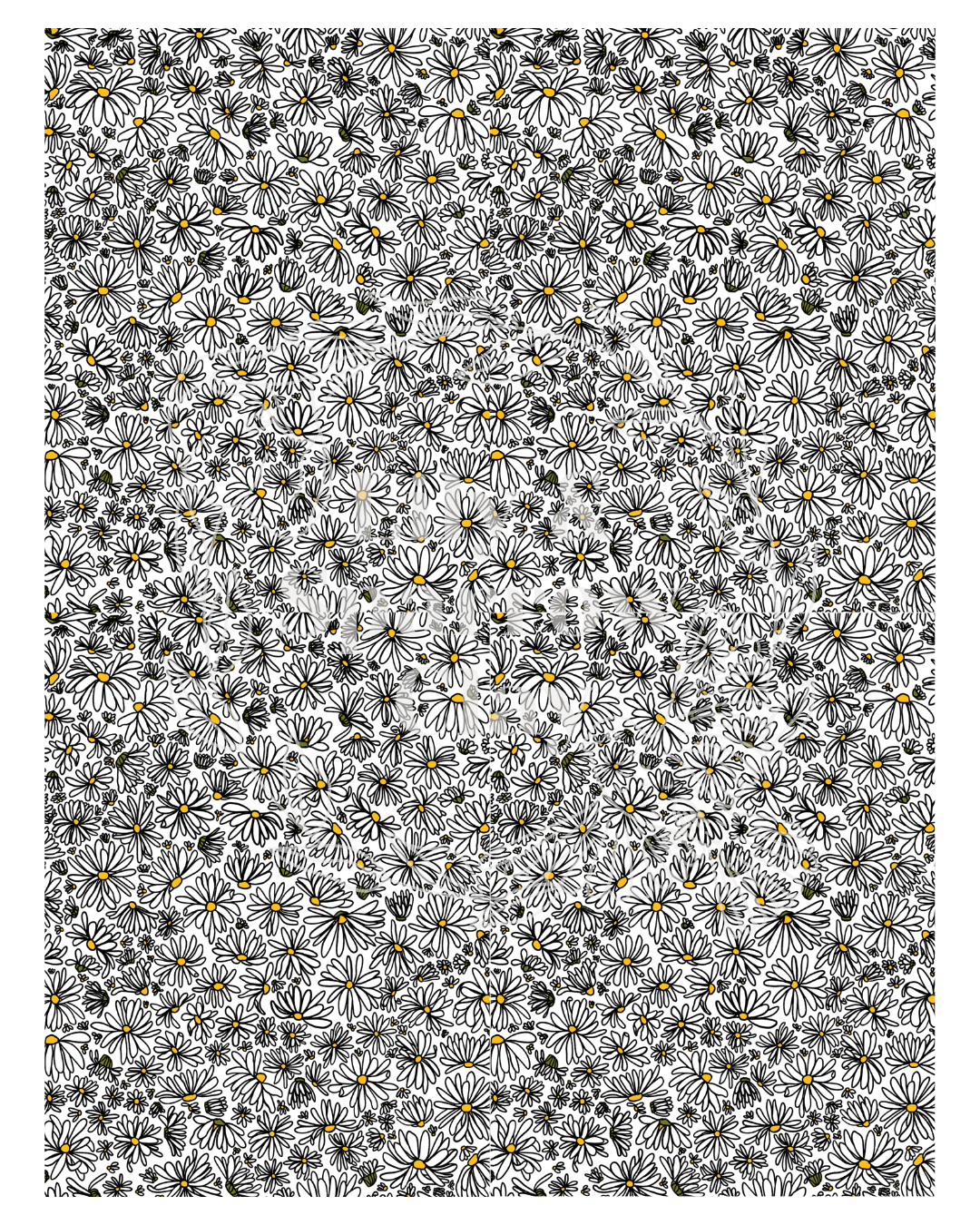 Daisy Transfer Paper