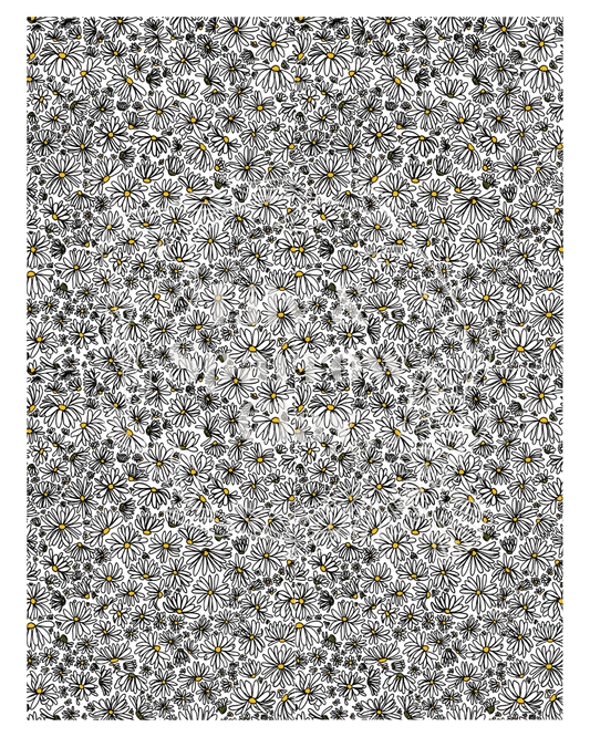 Daisy Transfer Paper