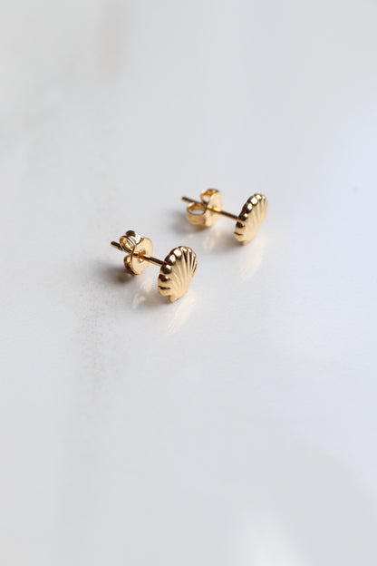 Sally Seashell Studs