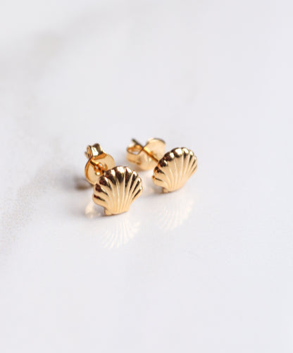 Gold shell-shaped earrings on a light gray background