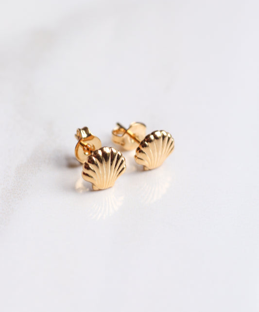 Gold shell-shaped earrings on a light gray background