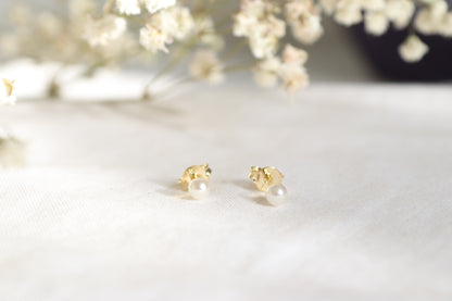 Gold-Filled Pearl Studs